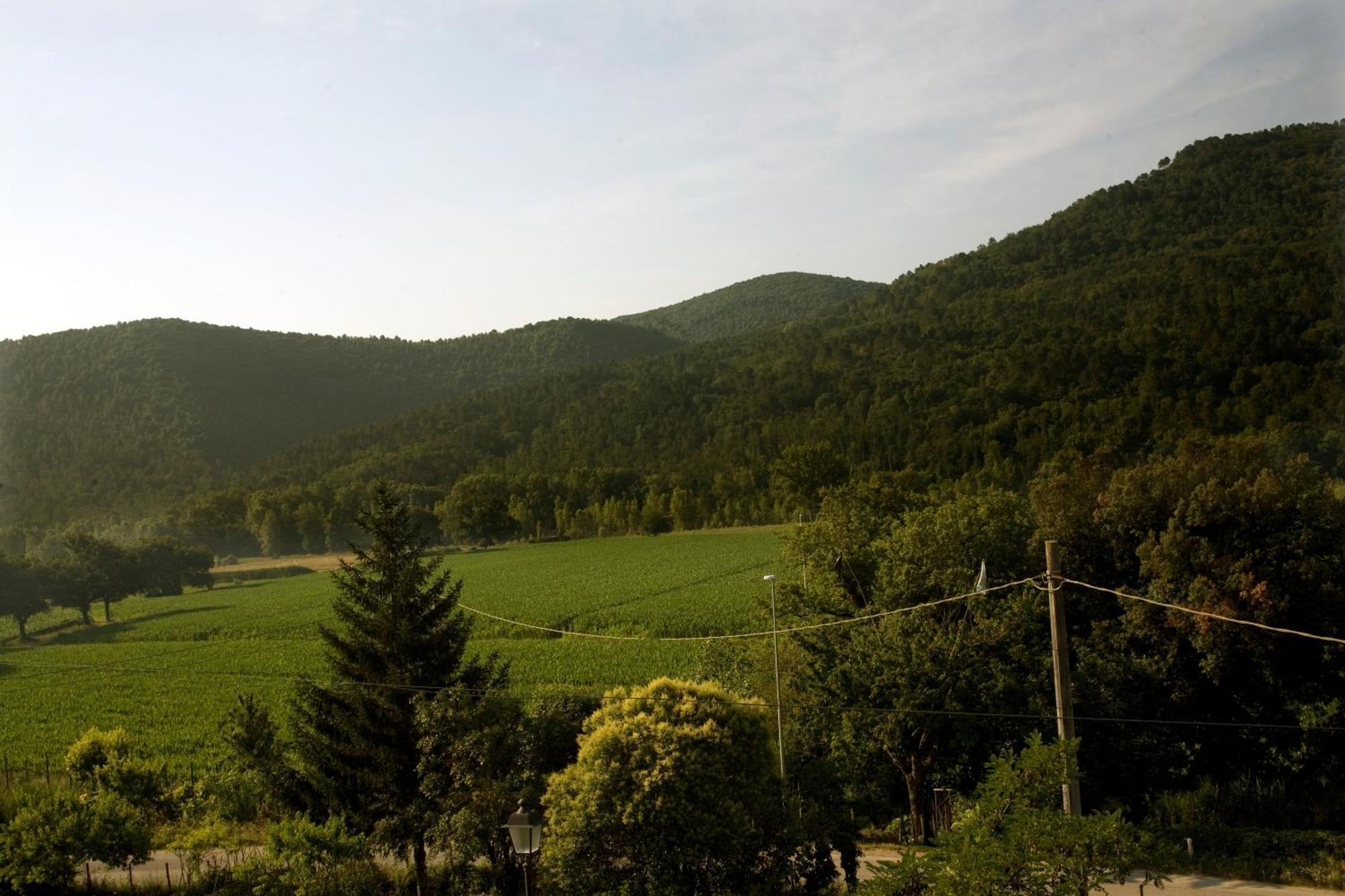 Villa Amedeo Rosia Cameră foto